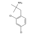 1-(2,4-dichlorophenyl)-2-methylpropan-2-amine