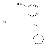 3-[(cyclopentylsulfanyl)methyl]aniline hydrochloride