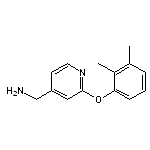 [2-(2,3-dimethylphenoxy)pyridin-4-yl]methanamine