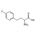 2-amino-4-(4-fluorophenyl)butanoic acid