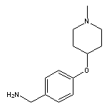 {4-[(1-methylpiperidin-4-yl)oxy]phenyl}methanamine