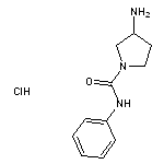 3-amino-N-phenylpyrrolidine-1-carboxamide hydrochloride