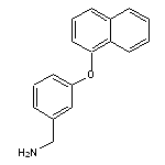 [3-(naphthalen-1-yloxy)phenyl]methanamine