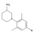 1-(4-bromo-2,6-dimethylphenyl)piperidin-3-amine