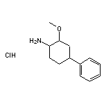 2-methoxy-4-phenylcyclohexan-1-amine hydrochloride