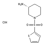 (3R)-1-(thiophene-2-sulfonyl)piperidin-3-amine hydrochloride