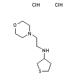 N-[2-(morpholin-4-yl)ethyl]thiolan-3-amine dihydrochloride