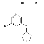 3-bromo-5-(pyrrolidin-3-yloxy)pyridine dihydrochloride