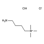 (4-aminobutyl)trimethylazanium chloride hydrochloride