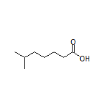 6-Methylheptanoic acid