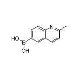 2-Methylquinoline-6-boronic Acid