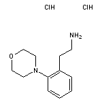 2-[2-(morpholin-4-yl)phenyl]ethan-1-amine dihydrochloride