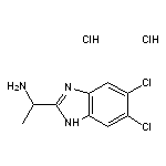 1-(5,6-dichloro-1H-1,3-benzodiazol-2-yl)ethan-1-amine dihydrochloride