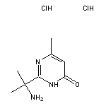 2-(2-aminopropan-2-yl)-6-methyl-3,4-dihydropyrimidin-4-one dihydrochloride