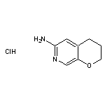 2H,3H,4H-pyrano[2,3-c]pyridin-6-amine hydrochloride