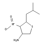 5-(2-methylpropyl)-4-nitrothiolan-3-amine