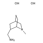 {2-methyl-2-azabicyclo[2.2.2]octan-6-yl}methanamine dihydrochloride