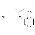 2-(difluoromethoxy)aniline hydrochloride