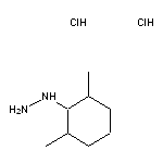 (2,6-dimethylcyclohexyl)hydrazine dihydrochloride