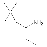 1-(2,2-dimethylcyclopropyl)propan-1-amine