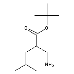 tert-butyl 2-(aminomethyl)-4-methylpentanoate