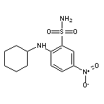 2-(cyclohexylamino)-5-nitrobenzene-1-sulfonamide