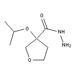 3-(propan-2-yloxy)oxolane-3-carbohydrazide