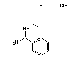 5-tert-butyl-2-methoxybenzene-1-carboximidamide dihydrochloride