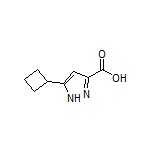 5-Cyclobutylpyrazole-3-carboxylic Acid