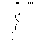 3-(morpholin-4-yl)cyclobutan-1-amine dihydrochloride