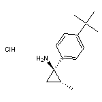 rac-(1R,2R)-1-(4-tert-butylphenyl)-2-methylcyclopropan-1-amine hydrochloride