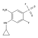 5-amino-4-(cyclopropylamino)-2-fluorobenzene-1-sulfonyl fluoride