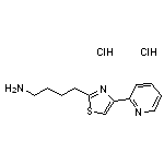 4-[4-(pyridin-2-yl)-1,3-thiazol-2-yl]butan-1-amine dihydrochloride