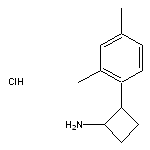 2-(2,4-dimethylphenyl)cyclobutan-1-amine hydrochloride