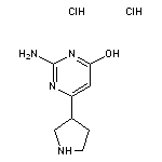 2-amino-6-(pyrrolidin-3-yl)pyrimidin-4-ol dihydrochloride