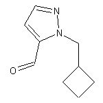 1-(cyclobutylmethyl)-1H-pyrazole-5-carbaldehyde