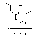 2-bromo-6-(difluoromethoxy)-4-(heptafluoropropan-2-yl)aniline