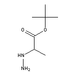 tert-butyl 2-hydrazinylpropanoate