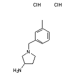 1-[(3-methylphenyl)methyl]pyrrolidin-3-amine dihydrochloride