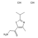 2-amino-1-[4-methyl-2-(propan-2-yl)-1,3-thiazol-5-yl]ethan-1-one dihydrochloride