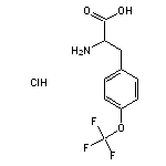 2-amino-3-[4-(trifluoromethoxy)phenyl]propanoic acid hydrochloride