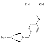 (1R,5S,6R)-3-[(4-methoxyphenyl)methyl]-3-azabicyclo[3.1.0]hexan-6-amine dihydrochloride