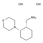 rac-[(1S,2S)-2-(morpholin-4-yl)cyclohexyl]methanamine dihydrochloride