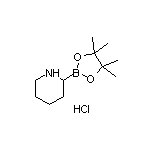 Piperidine-2-boronic Acid Pinacol Ester Hydrochloride