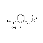 2-Fluoro-3-(trifluoromethoxy)phenylboronic Acid