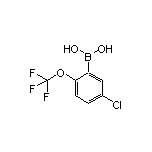 5-Chloro-2-(trifluoromethoxy)phenylboronic Acid