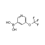 5-(Trifluoromethoxy)pyridine-3-boronic Acid