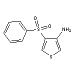 4-(phenylsulfonyl)thien-3-ylamine