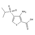 3-amino-4-(isopropylsulfonyl)thiophene-2-carboxylic acid