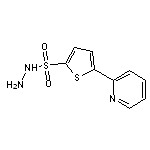 5-pyridin-2-ylthiophene-2-sulfonohydrazide